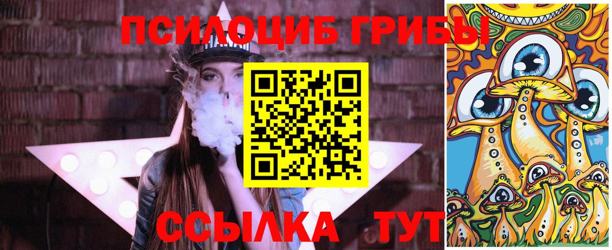 Псилоцибиновые грибы Psilocybe  Галлюциногенные грибы прущие грибы  Таганрог  Вход с VPN 