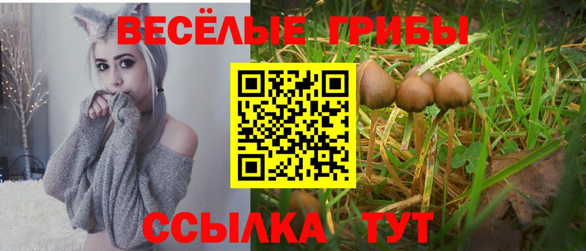 Псилоцибиновые грибы мицелий Таганрог